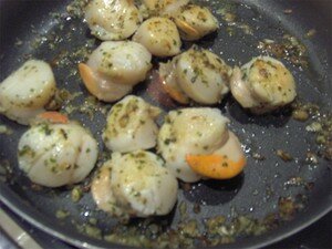 coquilles_St_Jacques_002