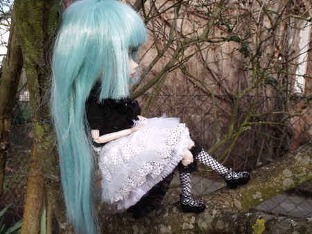 2010_01240Pullip00058