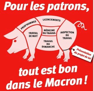 macron-cochon