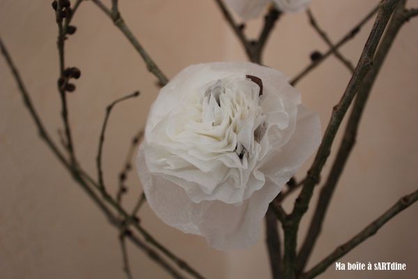 Branche&fleurs blanches (3)