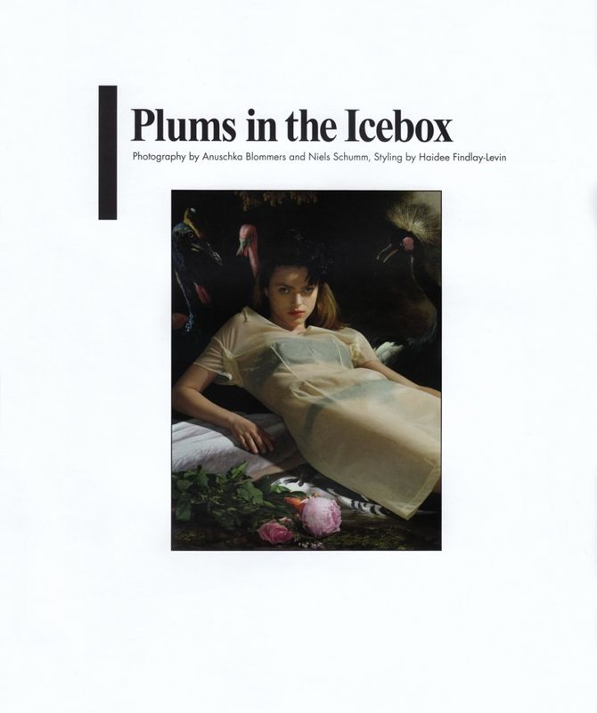 Edito "Plums in the Icebox" with Sophie Vlaming by Anuschka Blommers
