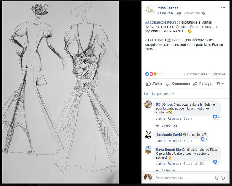 Son croquis validé par Miss France