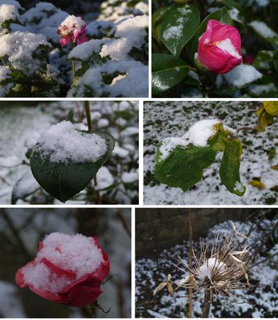 neige1