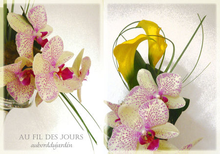 Callas_et_orchid_es_2