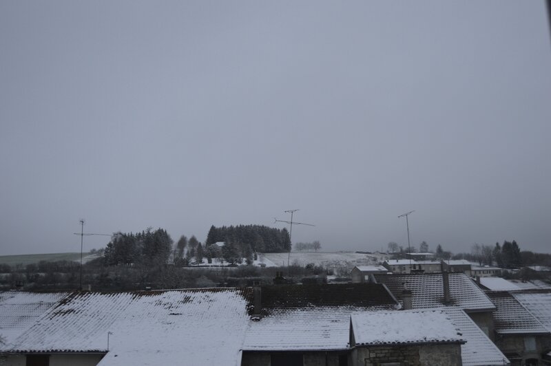 _DSC0018