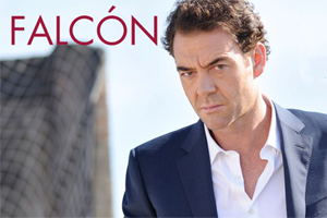 Falcon-300