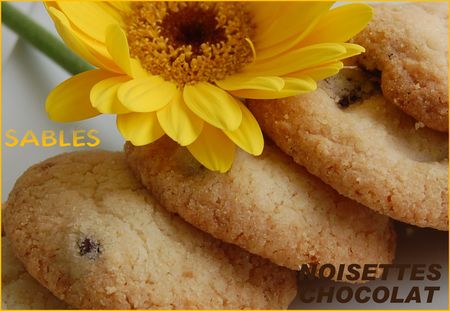 SABL_S_NOISETTE_CHOCO
