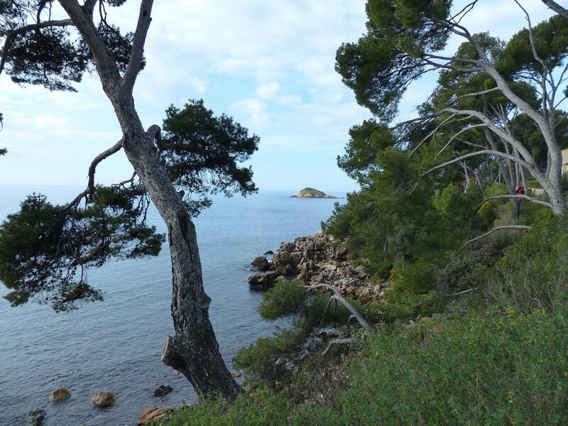 P1190001