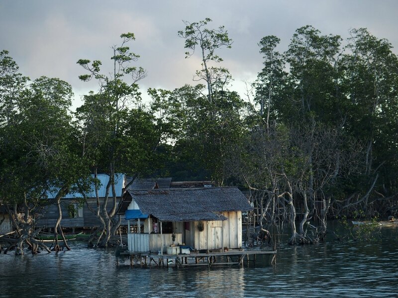 Java Bali Sulawesi - Indonésie 2015 6025