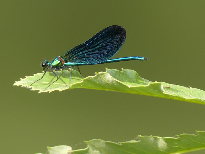 P1020500