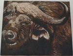 buffle_huile_sur_toile_31x41cm