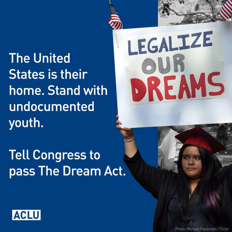 immigration DREAM act deferred