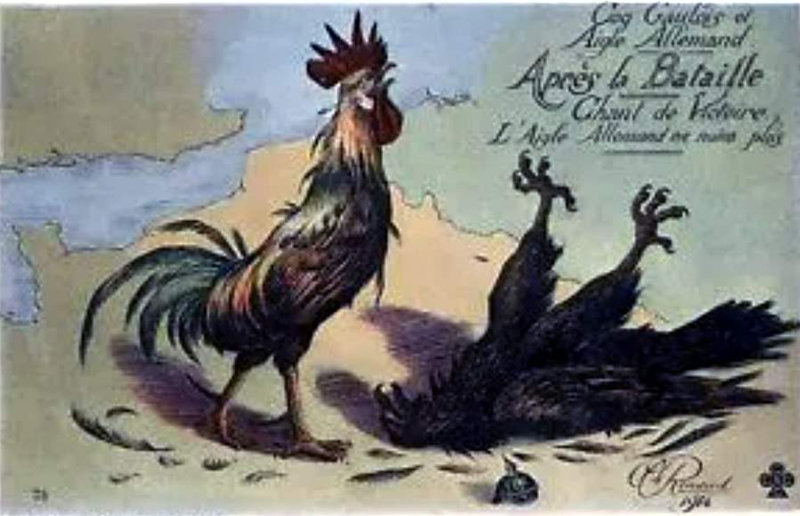 COQ CARTE2