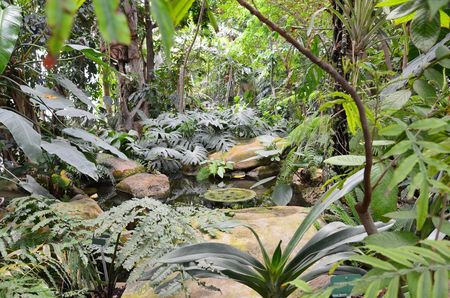 Jardin des plantes 06