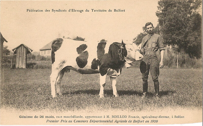 1920 Belfort CPA M Boillod Francis éleveur 1er prix