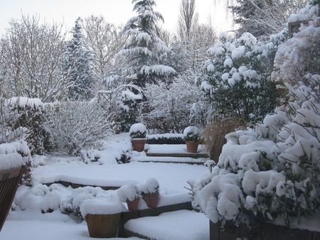 jardin