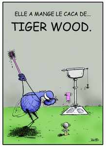 Tiger_Wood_copie