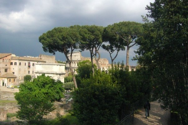 Rome forum colisee