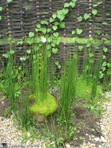 6797_Vieux_baquet