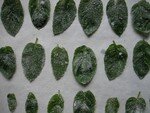 feuilles_de_menthe006
