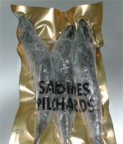 sardines_pilchard