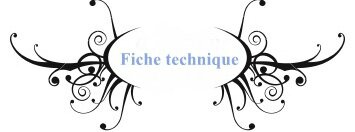 Fiche Technique