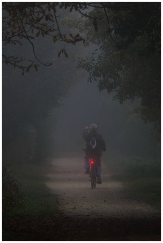 ville vélo brouillard 181016 1