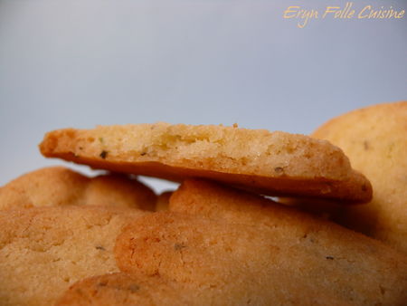 spritz_basilic_parmesan_pignons6