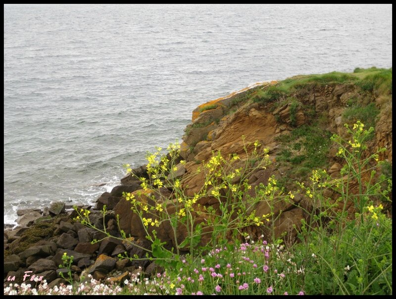 promenade en famille mai 2015 (3)