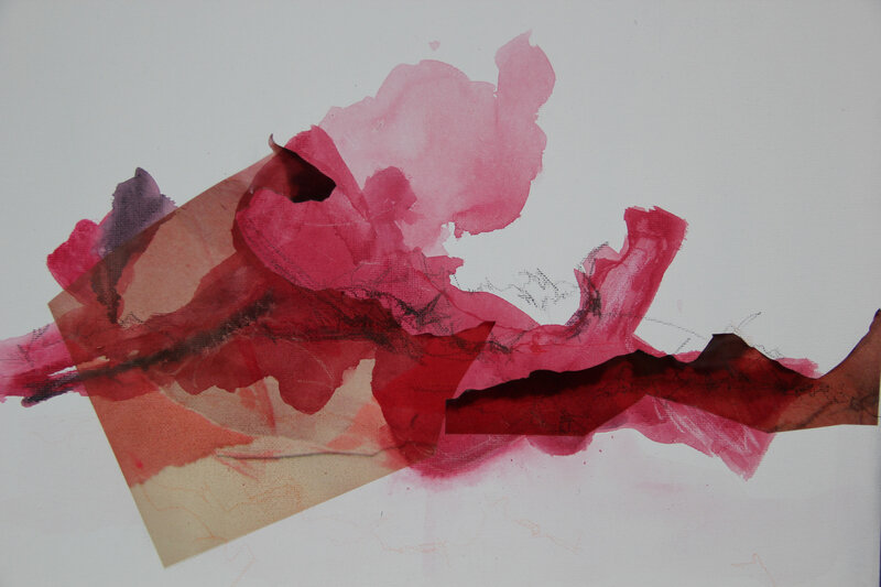 Mémoires de paysage 1- 2009 encre, mine de plomb, crayon aquarel, impression sur transaparent ur toile