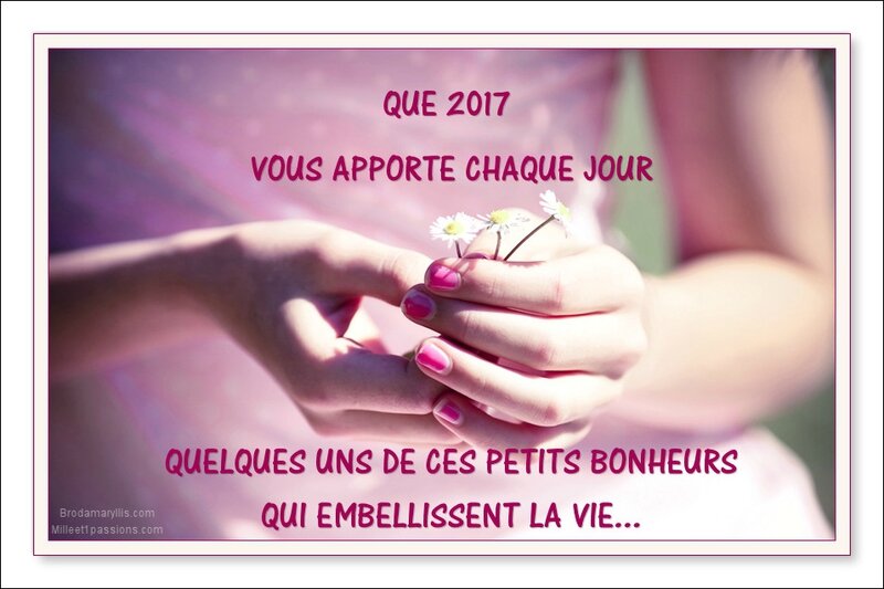 voeux 2017
