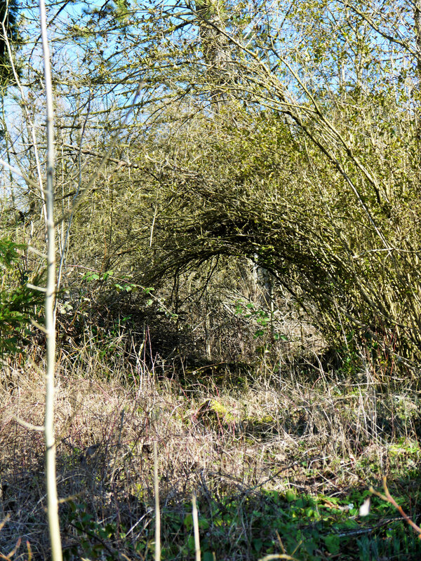 P1270555 (2)