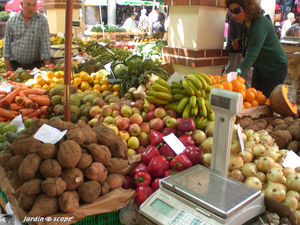 9041_March__de_Funchal