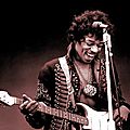 The <b>Hendrix</b> Experience