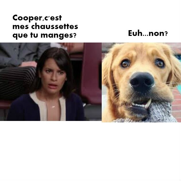 Rachel et Cooper le chien
