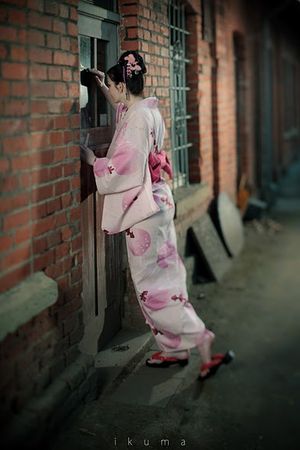 Mémoire d'une (séance photos en costume de) geisha par Fann(C)y