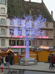 Arbre__bleu_Flout_