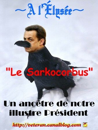 Le_Sarkocorbus
