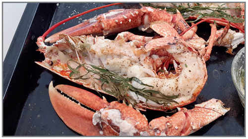 homard grillé à l'estragon8