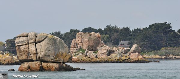 0058-Ile-de-Bréhat