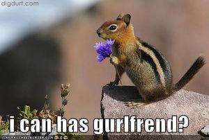 funny_pictures_squirrel_girlfriend1