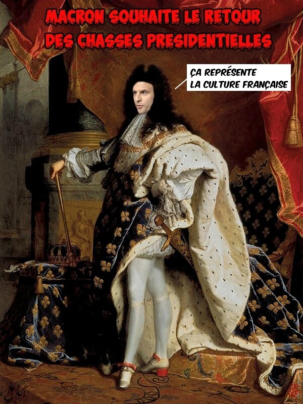 macron-louis XIV