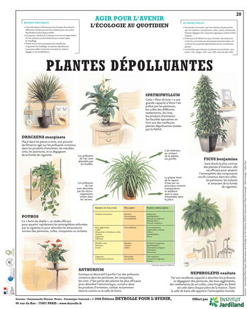Plantes_logo