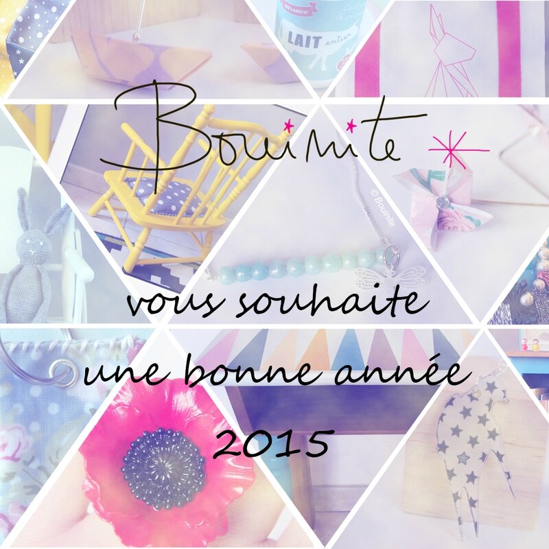 Voeux 2015