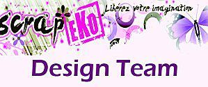 Banniere-Design-Team-copie