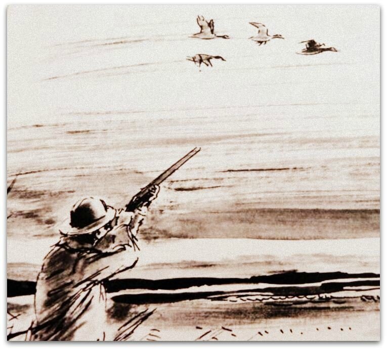 chasse au canard zz