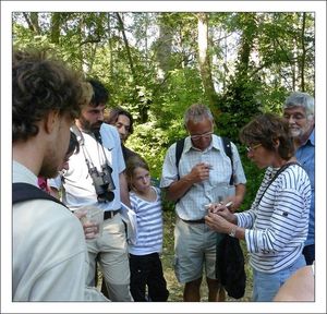 groupe_6_attentif