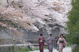 Le Shunbun no Hi : célébrer l'arrivée du printemps au Japon - Journal du  Japon