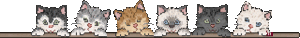 Gif barre chats animés 320 pixels