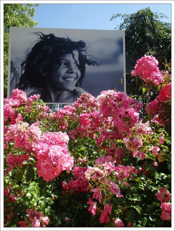 Moncoutant expo S Weiss portraits roses 030715 ym